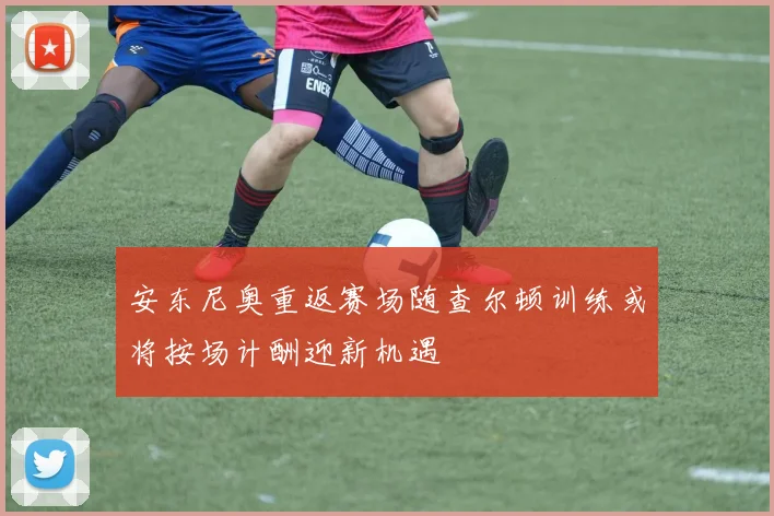 安东尼奥重返赛场随查尔顿训练或将按场计酬迎新机遇